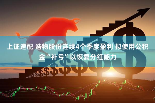 上证速配 浩物股份连续4个季度盈利 拟使用公积金“补亏”以恢复分红能力