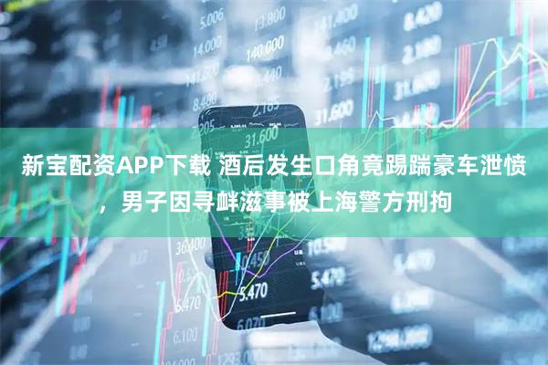 新宝配资APP下载 酒后发生口角竟踢踹豪车泄愤，男子因寻衅滋事被上海警方刑拘